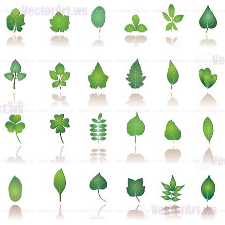 tree leafs and nature icons - vector icon set