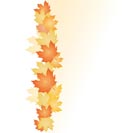 Abstract backgrounds with fall Leafs - vector illustration