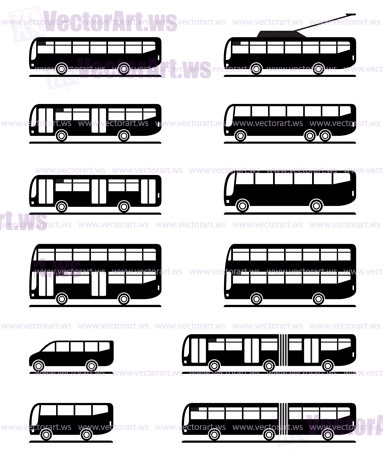 Buses and coaches - vector illustration