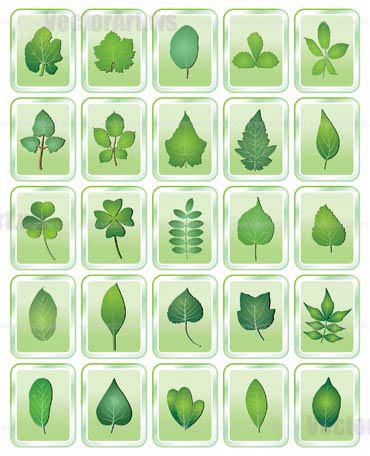 leaf icon - vector icon set