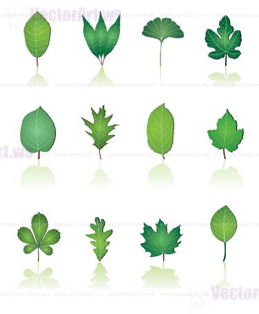 tree leafs and nature icons - vector icon set