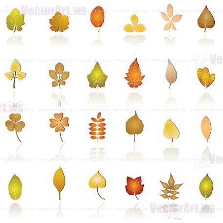 autumn leaf background and icons - vector icon set