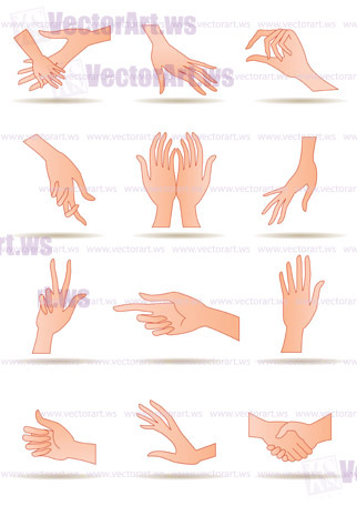 Human"s hands in different positions - vector illustration