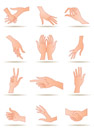 Human"s hands in different positions - vector illustration