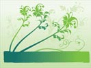 spring background with leafs  - vector illustration