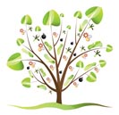 Car Tree with leafs - vector illustration